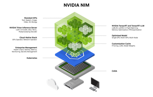 NVIDIA NIM screenshot 1