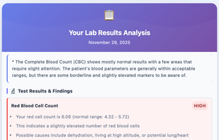 explanation of lab report into plain understandable language also feature to search nearby doctor
