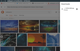Liri Browser screenshot 1