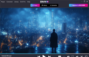 DivX screenshot 1