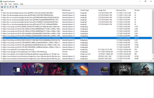 ChromeCacheView screenshot 1