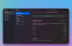 Bagel Browser screenshot 1