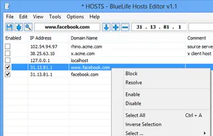 BlueLife Hosts Editor screenshot 1