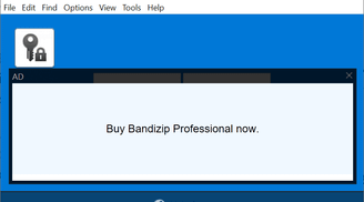 Bandizip archiver utility now has paid versions and ads for the free standard edition image
