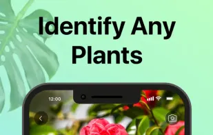 PictureThis screenshot 1