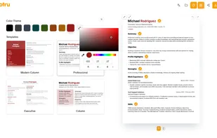 Customizable Resume Design Interface