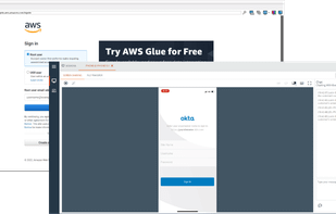 BeyondTrust screenshot 2