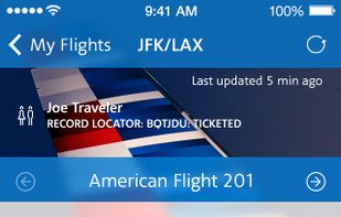 American Airlines screenshot 2
