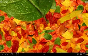 Autumn Leaves 3D Live Wallpaper screenshot 3