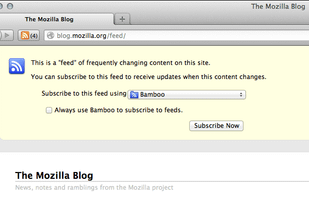 Bamboo Feed Reader screenshot 1