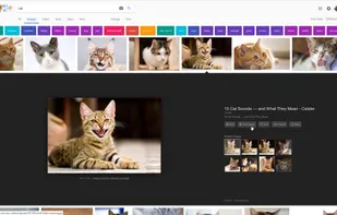 Google Search "View Image" Button screenshot 1