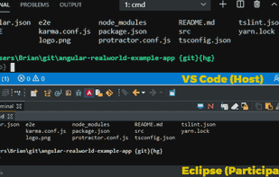 A shared, writable terminal