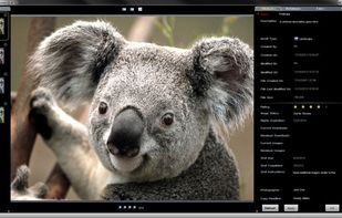 PDQ MediaBank Gold screenshot 2