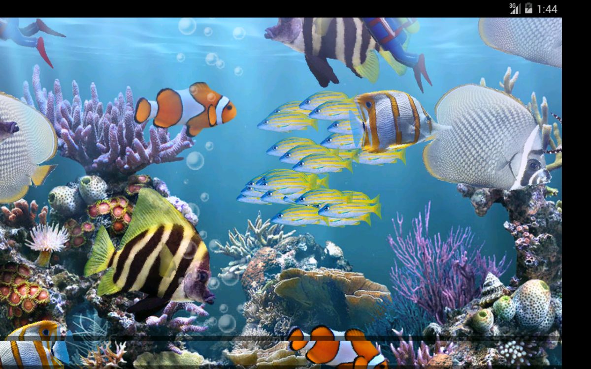 3d moving aquarium wallpaper