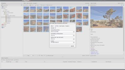 Change photo permissions and license info for Flickr photos