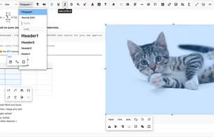 Sun Editor screenshot 1