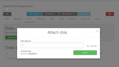 Attaching additional disks (block storage, from network drives or compute server drives)