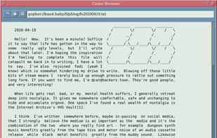 Castor Browser screenshot 1