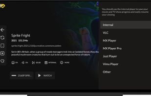  external player
