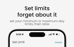 Sarmiza screenshot 2