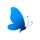 Butterfly for Bluesky icon
