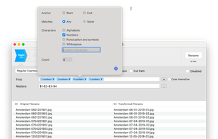 Use Regular Expressions for more complicated renaming actions. This can be done using a dialog system or by directly typing the regular expression.