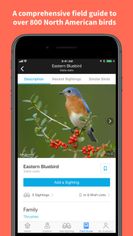 Audubon Bird Guide screenshot 2