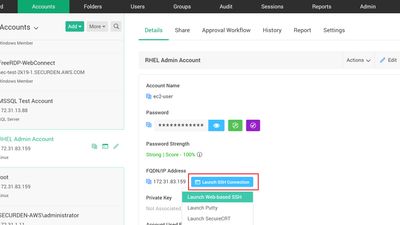 Launching remote connections with IT assets from Securden