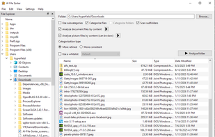Main window - Windows