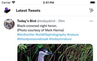 Tweaks for Twitter screenshot 3