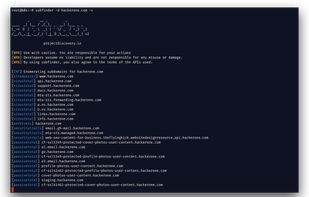Subfinder screenshot 1