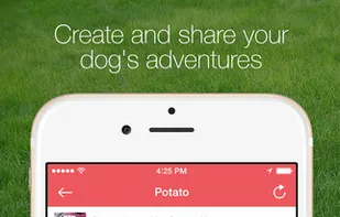 Wagtail screenshot 1