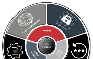 DualShield from Deepnet Security screenshot 1