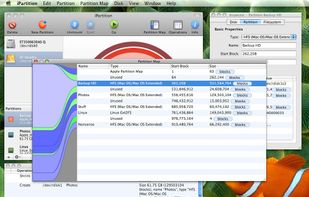 Partition Map View