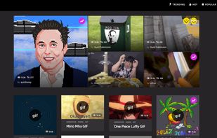 GIFCOP homepage