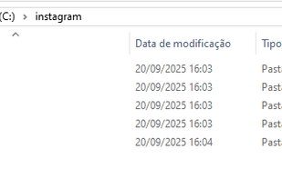 Downloaded files are saved in their respective folders