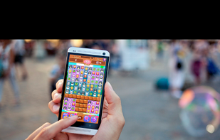 Animal Party screenshot 1