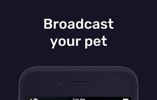 ULIVE Studio screenshot 1