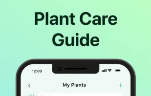 PictureThis screenshot 2