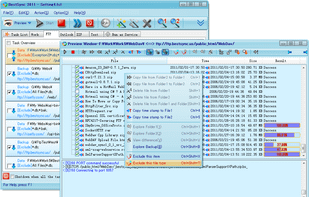 Main Window and Preview Window