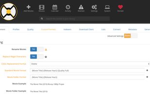 Radarr screenshot 1