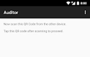 GrapheneOS Auditor screenshot 1