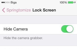 Springtomize screenshot 3