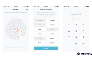 Gravity Solutions screenshot 1