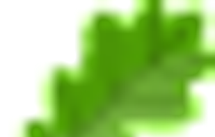 COL - Latin Spellchecker screenshot 2