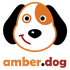 amber.dog icon