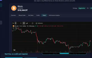 Imbedded Tradinview Charts