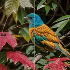 Clarity AI - Image Upscaler icon