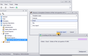 Xafari Framework screenshot 1