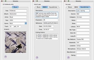 Metadata editor